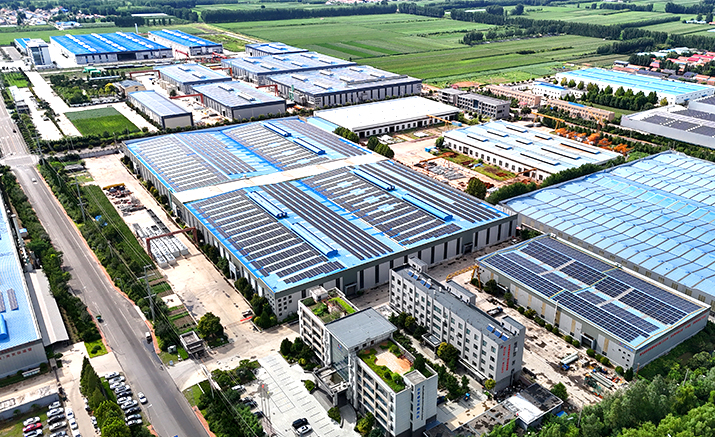 特级丰满少妇一级AAAA爱毛片