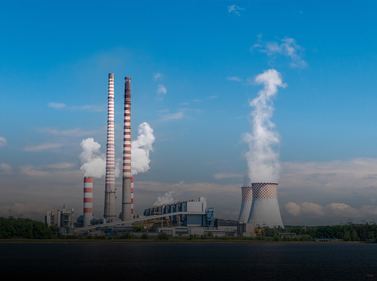 特级丰满少妇一级AAAA爱毛片