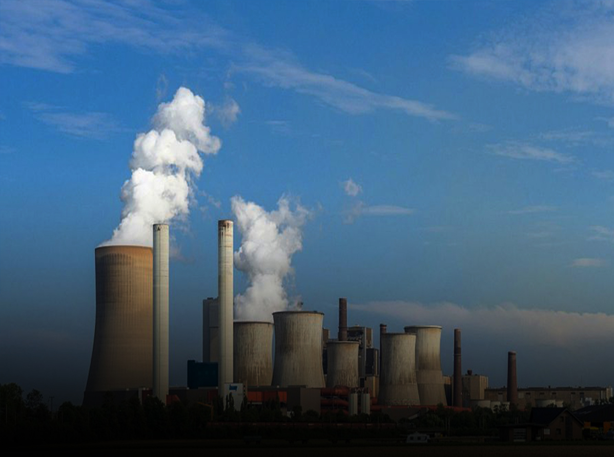 特级丰满少妇一级AAAA爱毛片