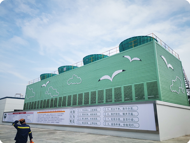 特级丰满少妇一级AAAA爱毛片