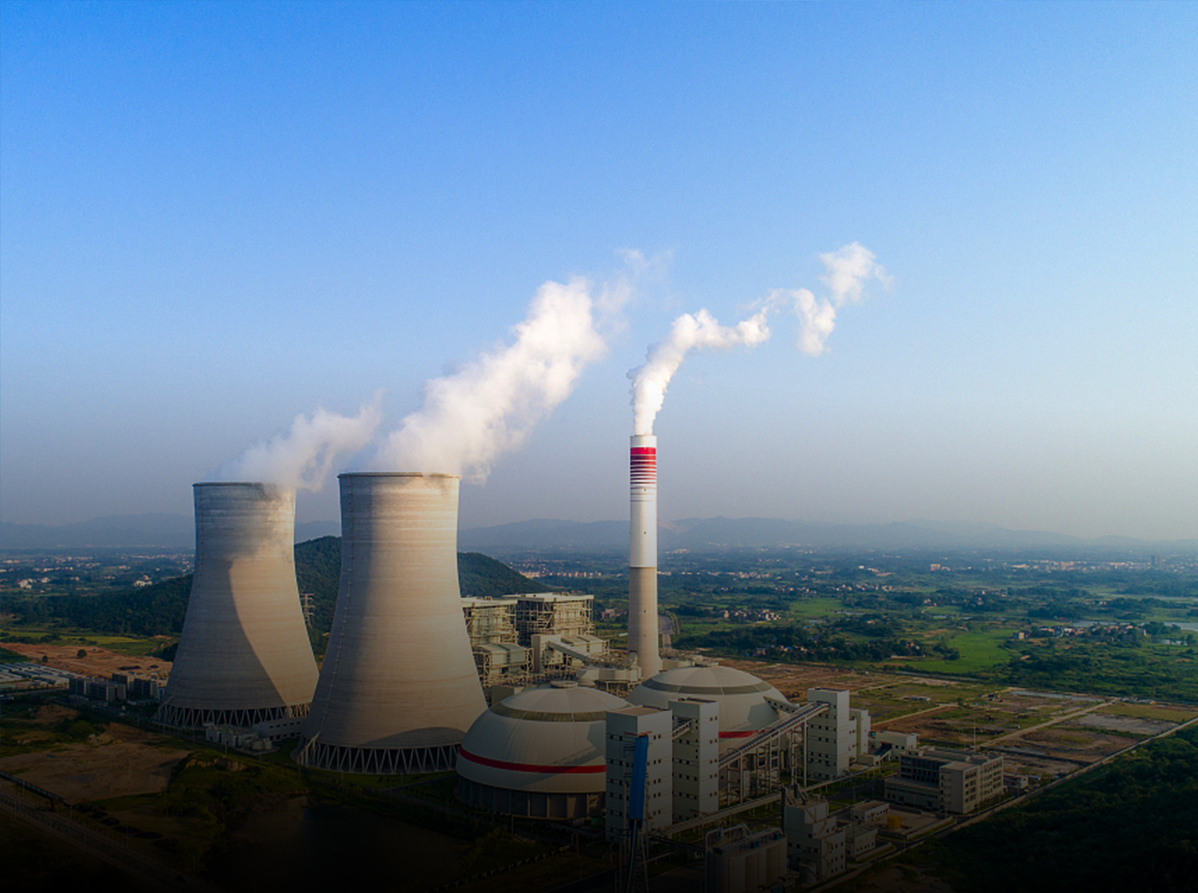 特级丰满少妇一级AAAA爱毛片