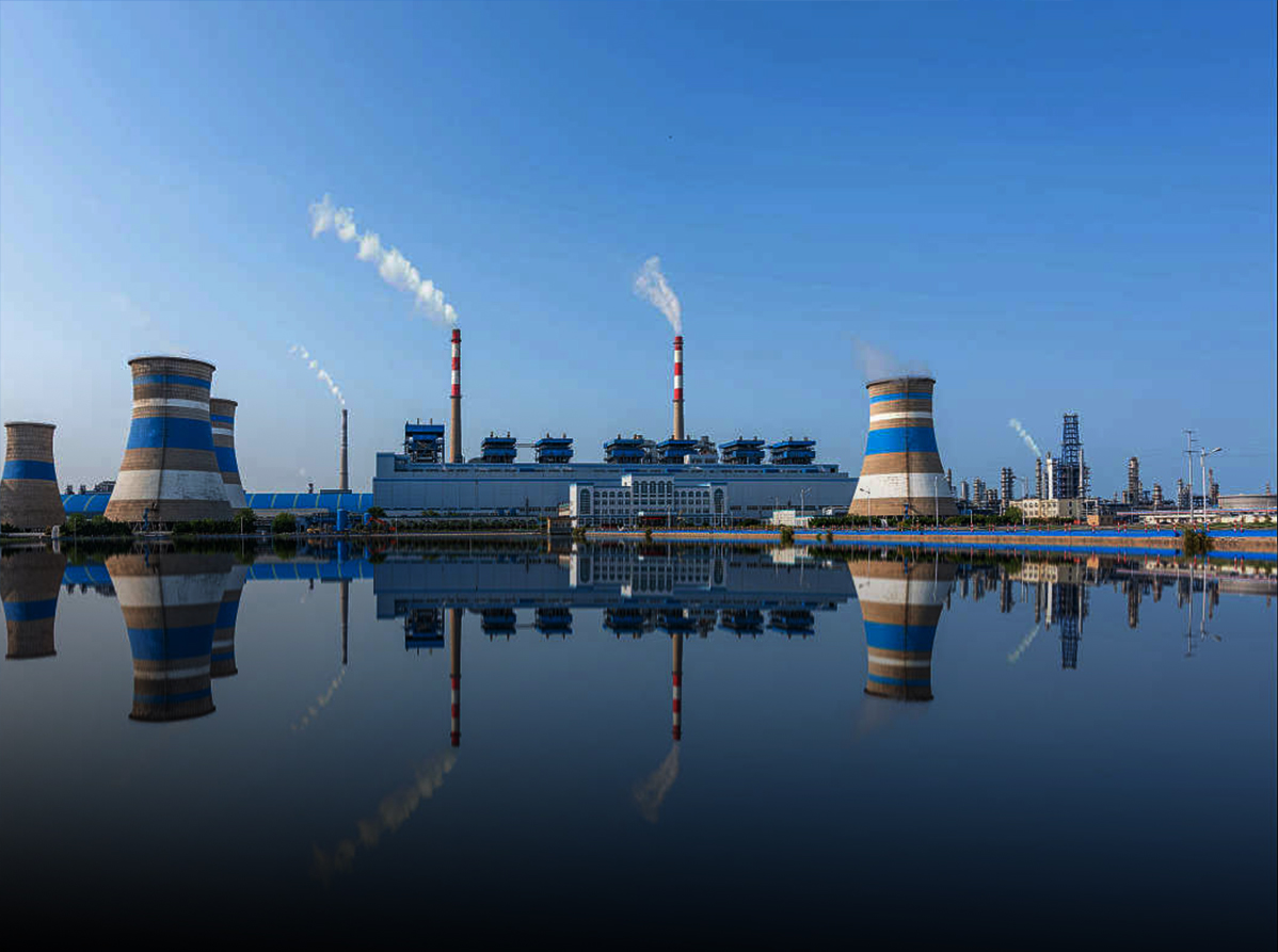 特级丰满少妇一级AAAA爱毛片