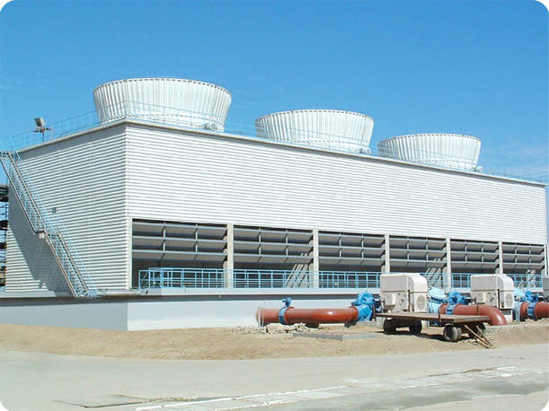 特级丰满少妇一级AAAA爱毛片