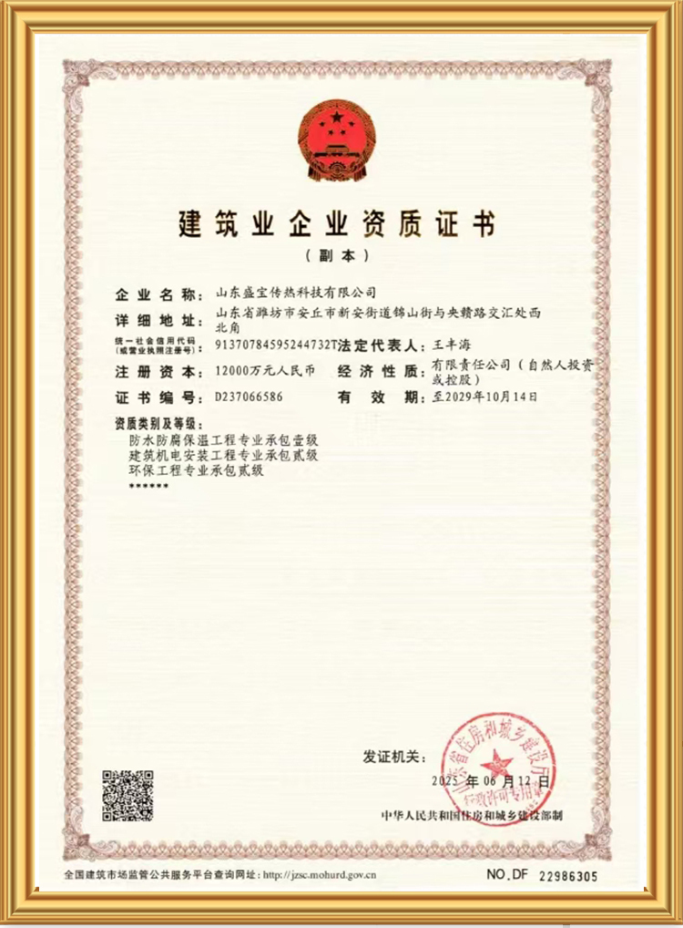 特级丰满少妇一级AAAA爱毛片