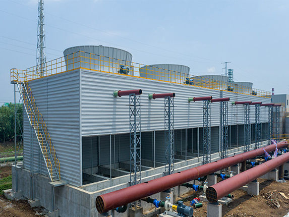 特级丰满少妇一级AAAA爱毛片