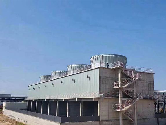 特级丰满少妇一级AAAA爱毛片