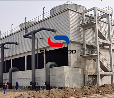 特级丰满少妇一级AAAA爱毛片