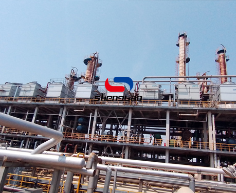 特级丰满少妇一级AAAA爱毛片