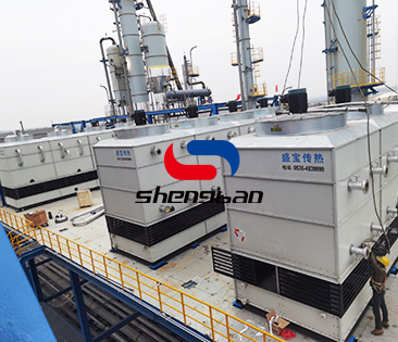 特级丰满少妇一级AAAA爱毛片