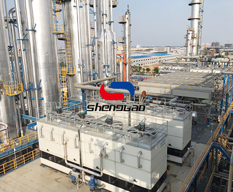 特级丰满少妇一级AAAA爱毛片