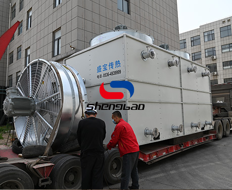 特级丰满少妇一级AAAA爱毛片