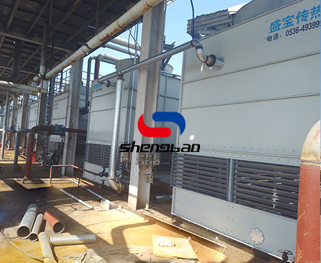 特级丰满少妇一级AAAA爱毛片