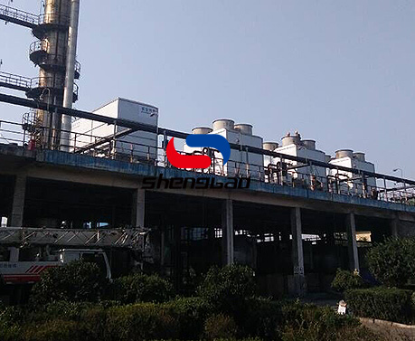 特级丰满少妇一级AAAA爱毛片