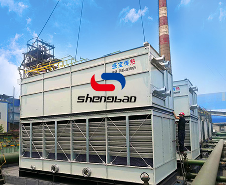 特级丰满少妇一级AAAA爱毛片