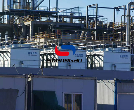 特级丰满少妇一级AAAA爱毛片