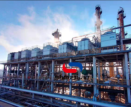 特级丰满少妇一级AAAA爱毛片