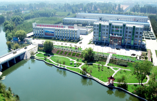 特级丰满少妇一级AAAA爱毛片