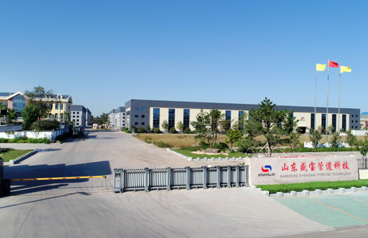 特级丰满少妇一级AAAA爱毛片